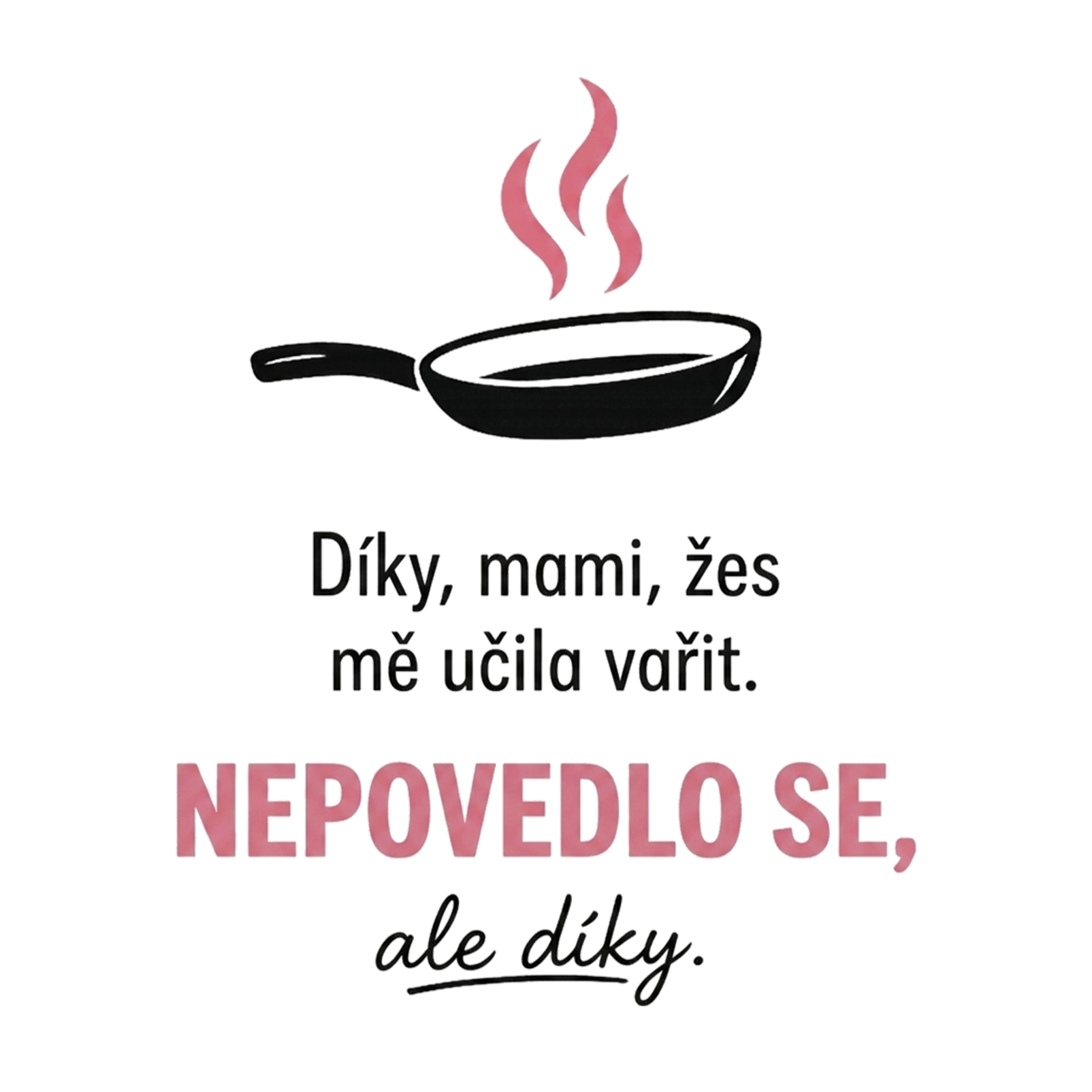 Díky za učení vařit - CSEH.webp